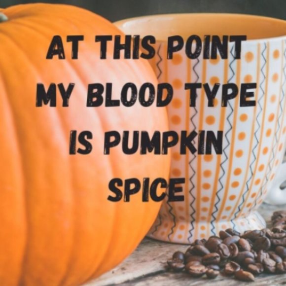 Pumpkin Spice Everything Softstyle® Fitted T-Shirt - Picture 2 of 3